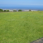 201608 grass2.jpg